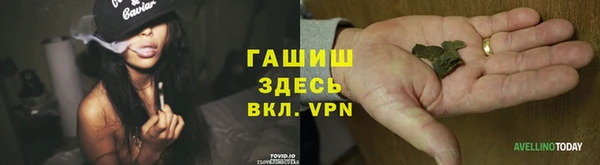 apvp Богородицк