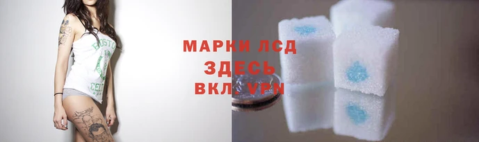 apvp Богданович