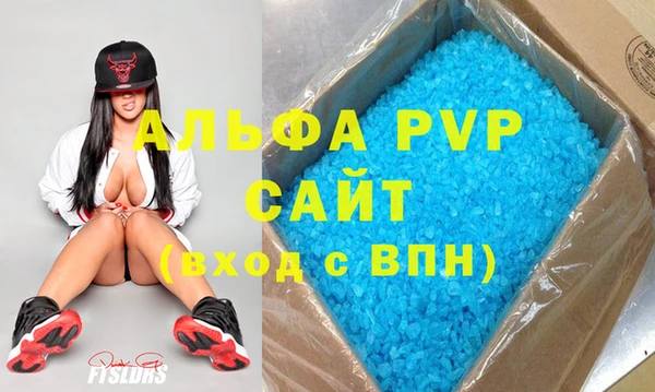 apvp Богородицк
