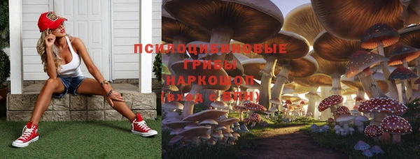 тгк Богородск